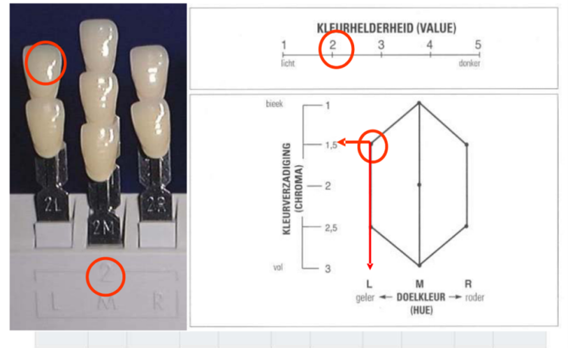 图片比色板 英文 3